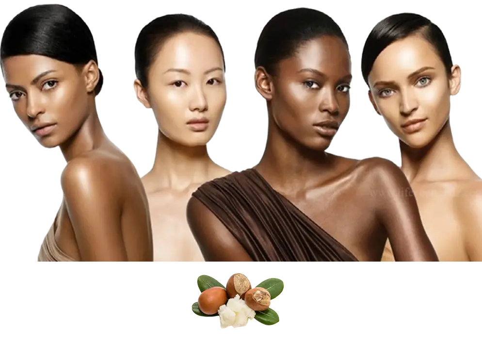 Cosmetic Product Safety Assessment